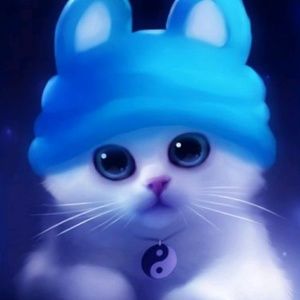 Meet your Posher, Iris